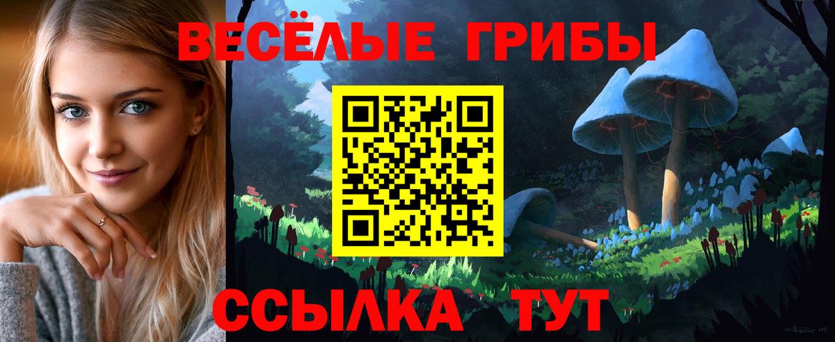 Галлюциногенные грибы GOLDEN TEACHER Кушва